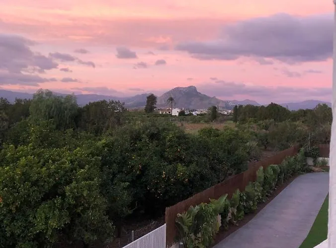 Lägenhet Sunny In With Outdoor Swimming Pool And Garage Parking Place Included, 300m From The Sandy Denia